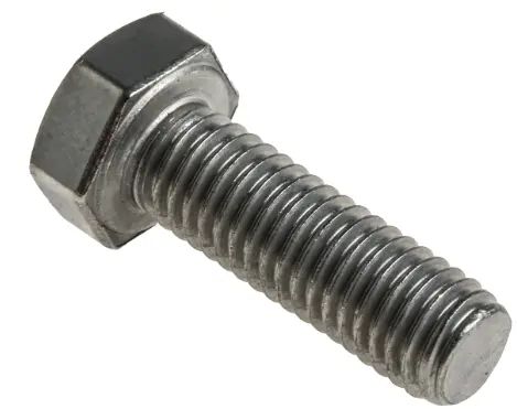 M8 SS Bolt
